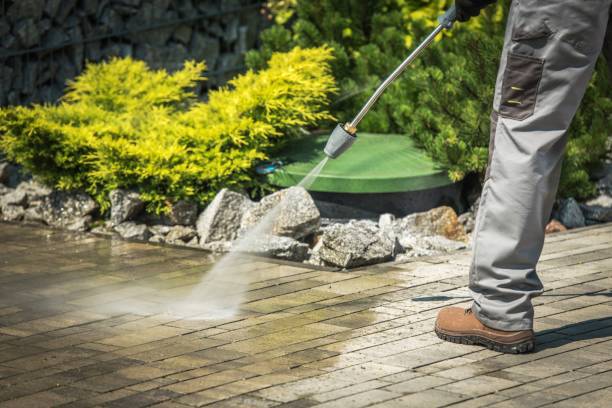 Best Solar Panel Cleaning  in Farmersville, CA